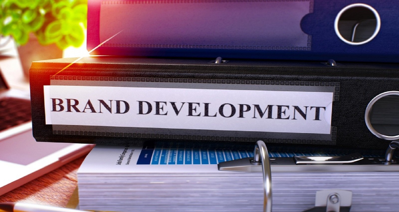 Marketing consultants